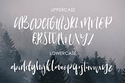 Warrenson Script Font, a Script Font by Creativeqube Design (Thumbnail 14 of 19)