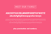 Indigo Sans Serif (Font Duo), a Sans Serif Font by Salt & Pepper Designs (Thumbnail 9 of 11)