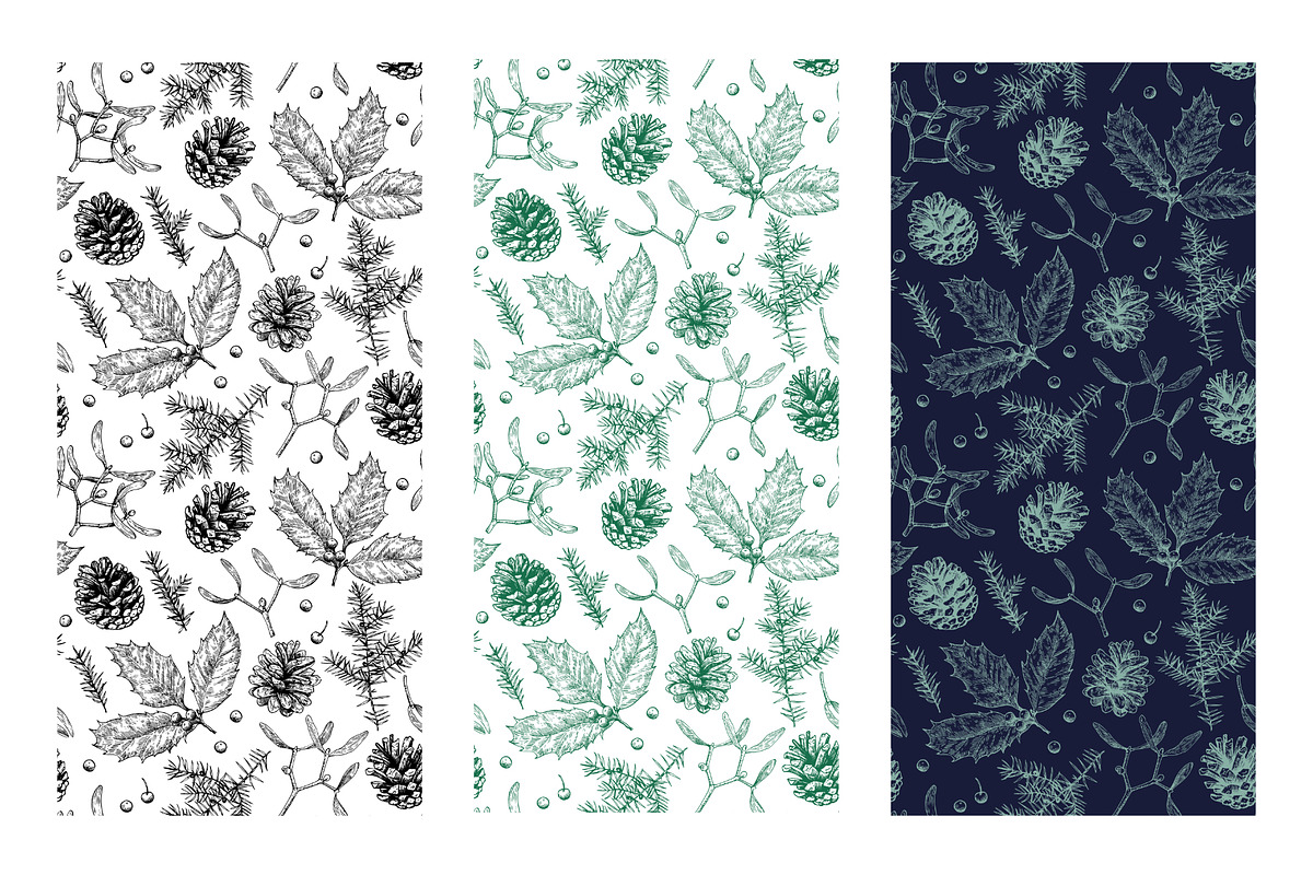 Winter botanical patterns, a Seasonal Illustration by Robusta (Photo 4 of 8)