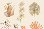 Watercolor boho collection, a Decorative Illustration by ViolettaKh (Thumbnail 3 of 14)