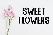 Vintage Beach, a Script Font by FreshTypeINK (Thumbnail 4 of 8)