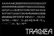 Trachea - Sans Serif Display Font, a Sans Serif Font by Brainwaves.Studio (Thumbnail 8 of 9)