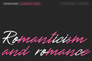 TT Disruptors, a Script Font by TypeType (Thumbnail 11 of 12)
