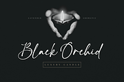 Constaller Chic Calligraphy Script, a Script Font by Namara Creative Studio (Thumbnail 12 of 12)