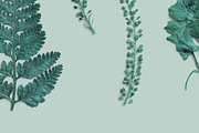 Azure Pressed Botanical PNG Pack, an Object Graphic by Custom Scene (Thumbnail 6 of 8)