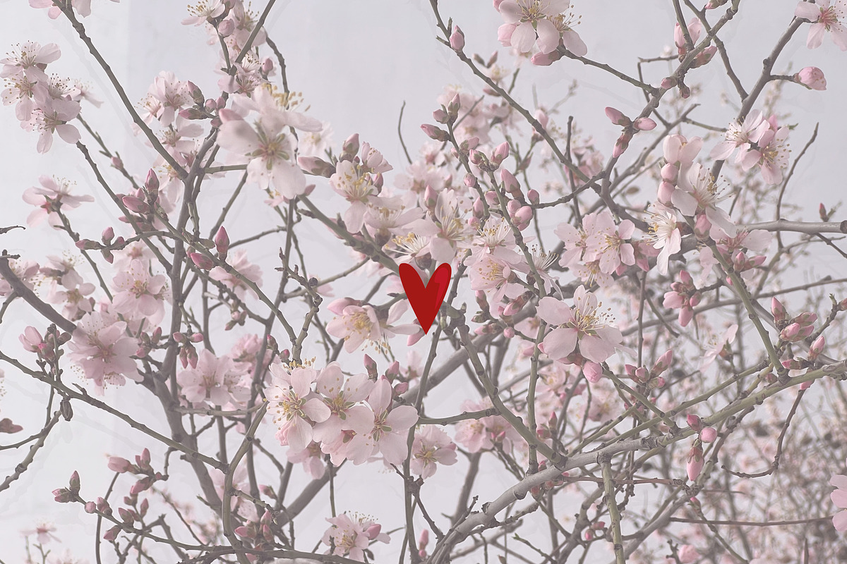 Blooming Spring Easter Collection, a Seasonal Illustration by Nataly_is_Drawing (Photo 9 of 9)