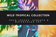 Luxury Tropical Nature, a Nature Photo by pictures for you (Thumbnail 1 of 19)