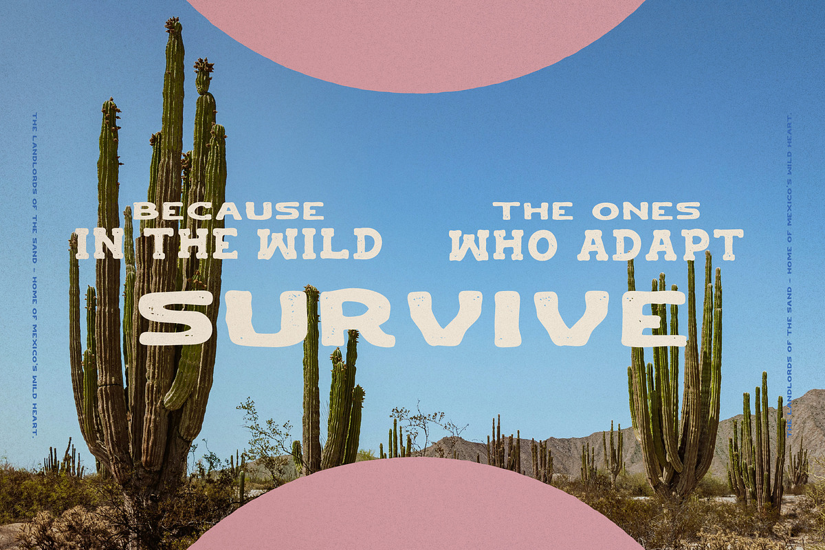St. Mojave - Hand Drawn Font, a Handwritten Font by UppercapType (Photo 6 of 12)