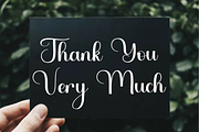 Winterland, a Handwritten Font by FreshTypeINK (Thumbnail 8 of 8)