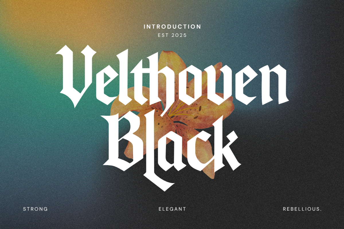 Velthoven Black - Modern Blackletter, a Blackletter Font by Creacy Studio (Photo 1 of 9)