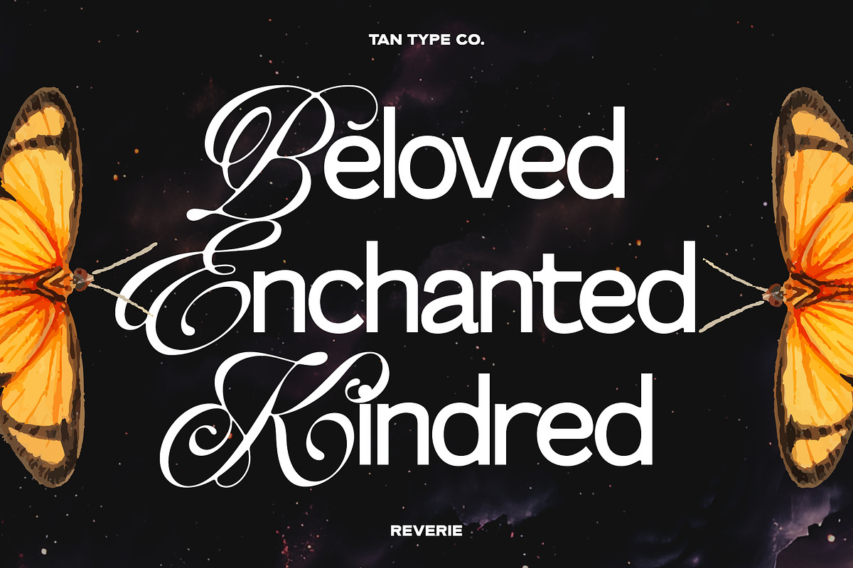 TAN-THE REVERIE, a Sans Serif Font by TanType (Photo 6 of 11)