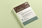 Lumaflow - Letterhead, a Card Template by Fannan Studio (Thumbnail 1 of 3)