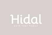 Hidal | Modern Sans Family, a Sans Serif Font by Creative Foundry (Thumbnail 1 of 9)
