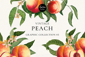 Vintage Peach Graphic Collection #03