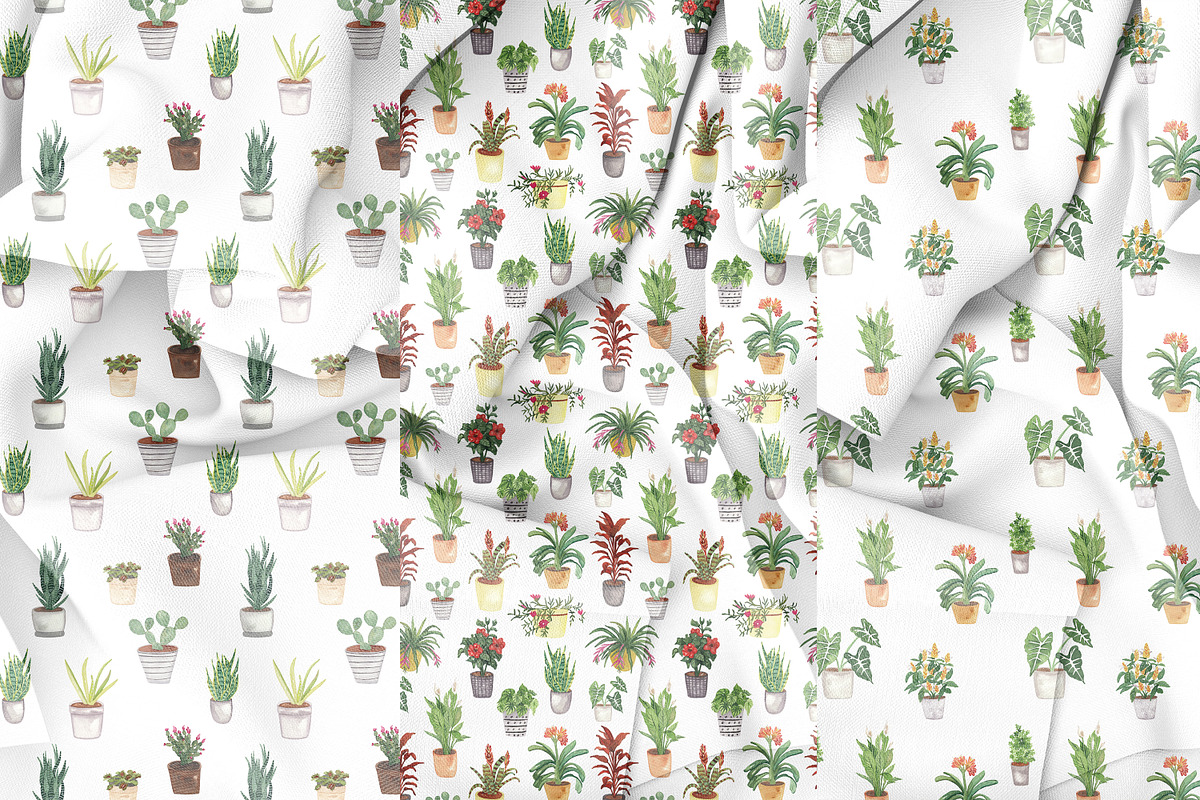 House Plants Alphabet and Clipart, a Decorative Illustration by Visual Animal (Photo 6 of 6)