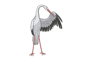 Crane bird in realistic style, an Animal Illustration by Things for designers