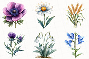 Vintage Botanical Clipart, an Illustration by OK Design (Thumbnail 5 of 5)