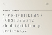 Mailvien - Modern Ligature Typeface, a Serif Font by BrandSemut (Thumbnail 7 of 10)