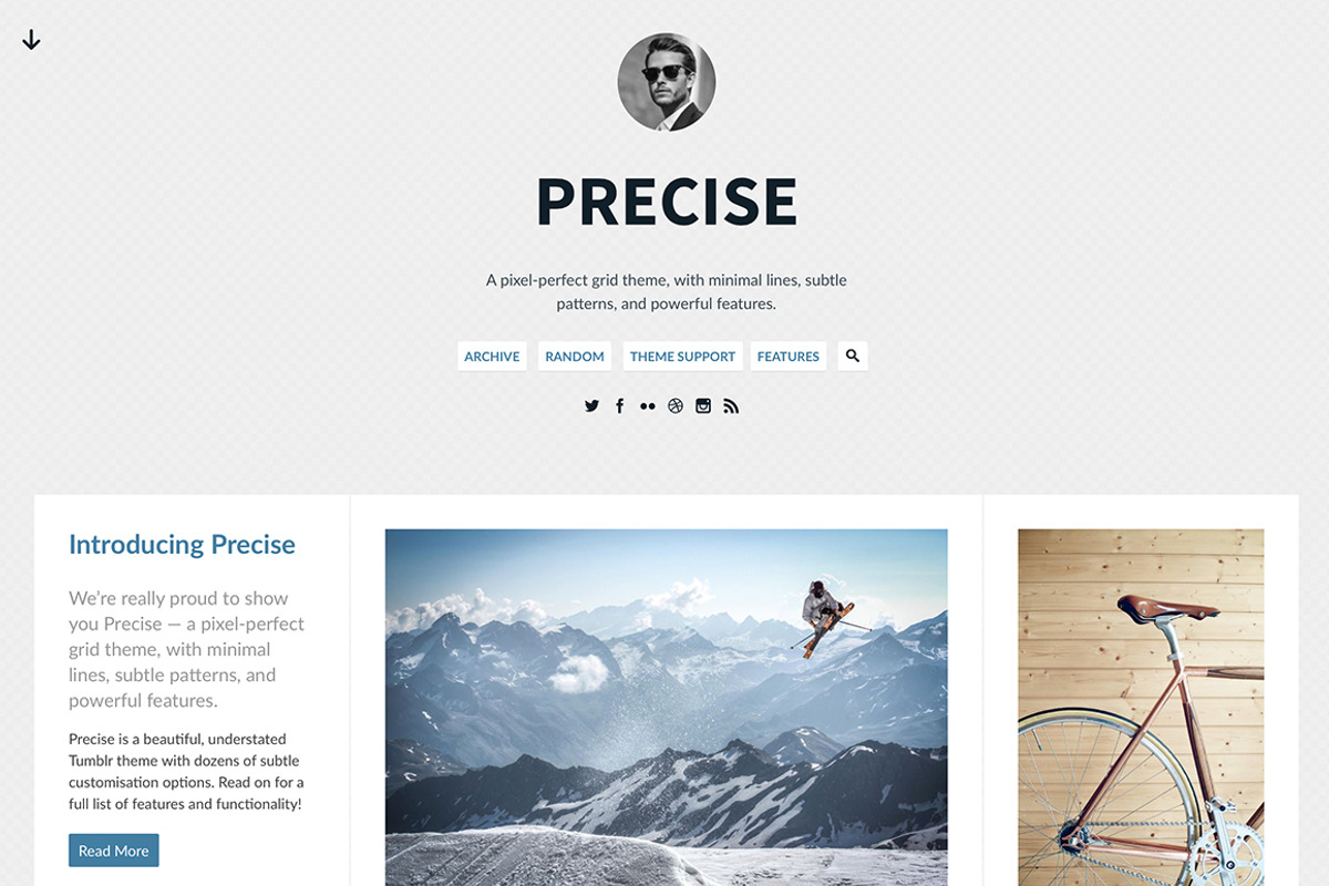 Precise Tumblr Theme, a Websites & App Template by Themelantic (Photo 1 of 5)