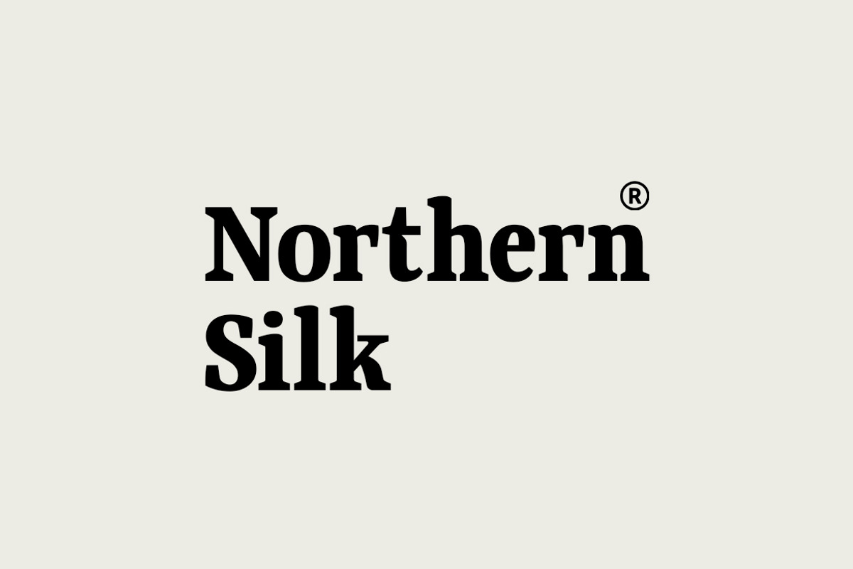 Qubeik Nue - A Premium Serif Font, a Serif Font by Webhance Studio (Photo 2 of 13)