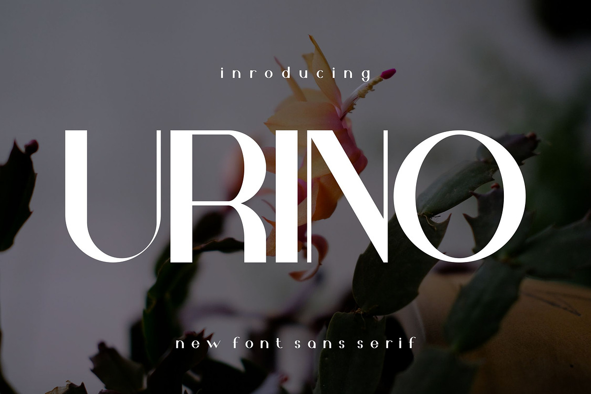 Urino, a Serif Font by riotama85 (Photo 1 of 5)