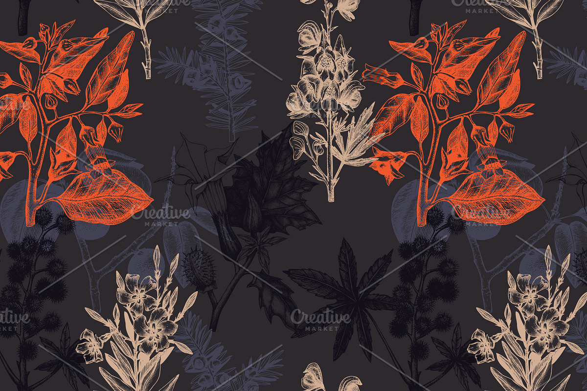 10 Most Poisonous Plants. Vector set, a Healthcare Illustration by Yevheniia (Photo 8 of 8)