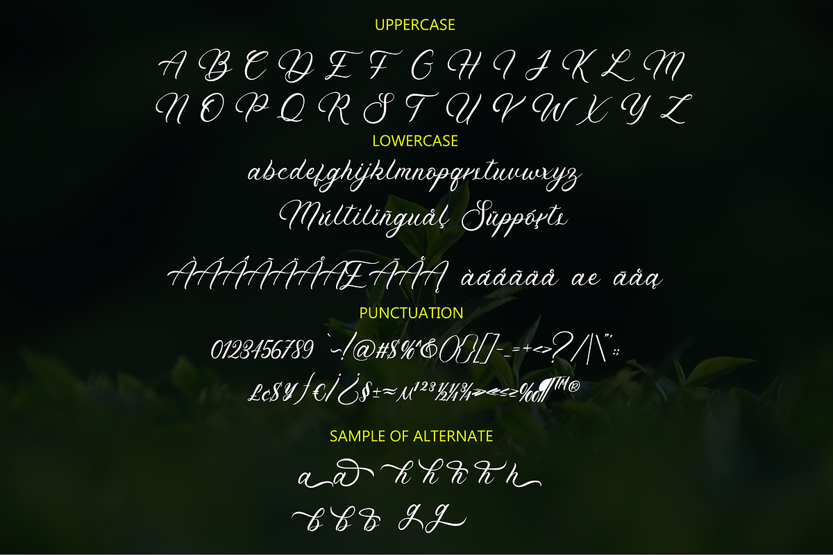 August Delight | Handwritten Font, a Handwritten Font by Jackgridden (Photo 3 of 10)