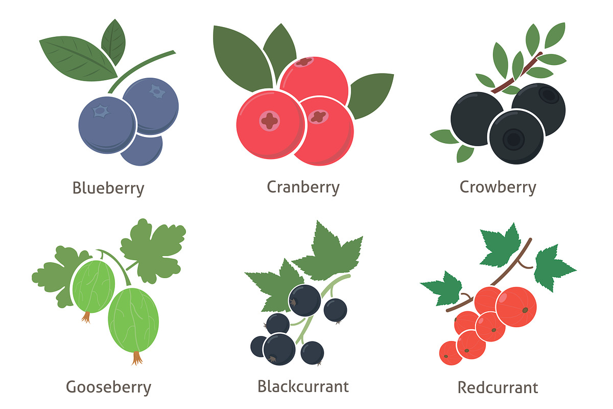 Fruit and berries preview 3