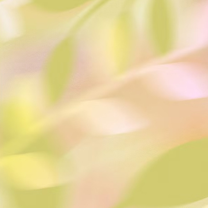 Mother's Day Graphics & Add-Ons
