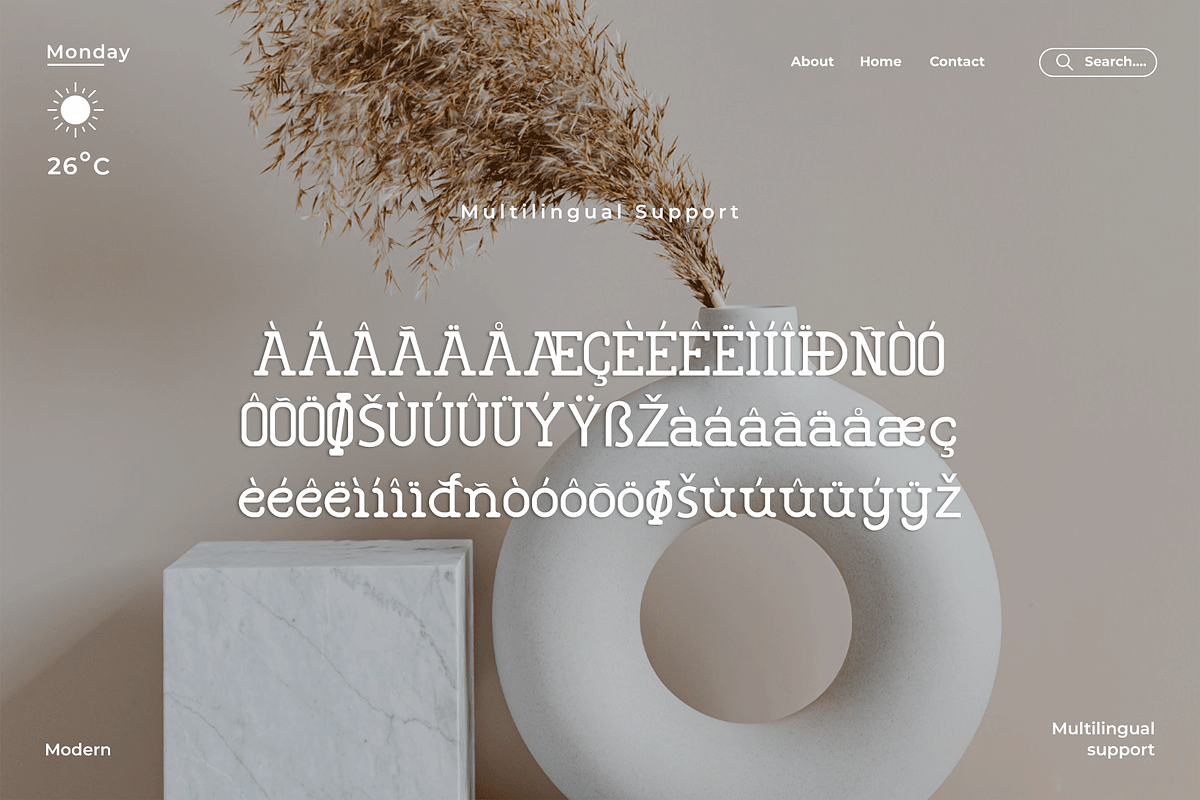Thrissca - A Modern Classy SerifFont, a Serif Font by overlaytemplates (Photo 5 of 5)