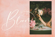 Bomtrys Script Font & Illustrations, a Script Font by CallMeStasia (Thumbnail 6 of 13)
