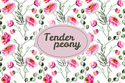 Tender peony patterns and elements, a Decorative Illustration by SuperNata (Thumbnail 1 of 5)