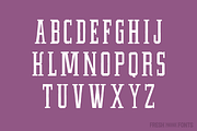 Fairtrade, a Slab Serif Font by Fresh Pressed Fonts (Thumbnail 3 of 5)