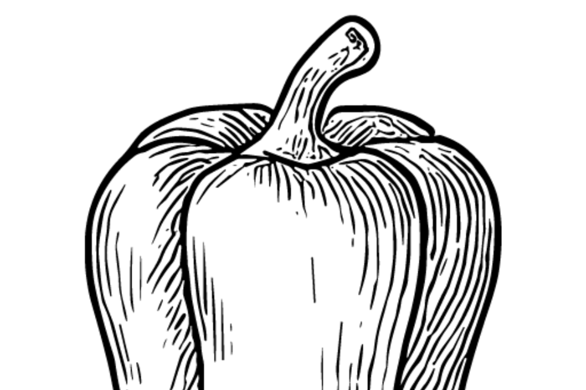 Vegetable Sketch Collection, an Object Graphic by nikagraphic (Photo 3 of 3)
