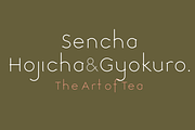Nishi. Chic, modern sans serif font, a Sans Serif Font by LostandFoundry (Thumbnail 4 of 7)