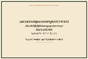 Craftly Font, a Serif Font by Graphic Spirit (Thumbnail 2 of 8)