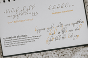 Ravishing Solidago Font, a Handwritten Font by Letterhanna Studio (Thumbnail 14 of 21)