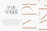 SALE! Type Master - serif font, a Serif Font by VP Fonts (Thumbnail 2 of 24)