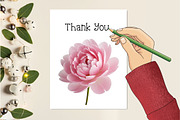 Blush Watercolor Floral Elements, an Illustration by Creative Art (Thumbnail 6 of 9)