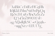 Dealoras Font Duo, a Serif Font by Attract Studio (Thumbnail 16 of 17)