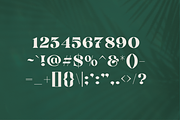Antigua - Tropical Display, a Serif Font by HipFonts (Thumbnail 6 of 11)