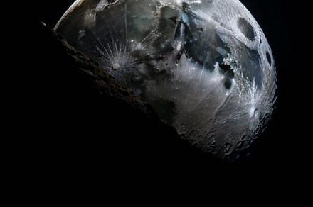 Moon phases photograph, a Wallpaper Photo by ComfortQ