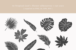 Tropical Leaf Flower Vectors