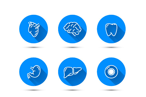 Nine Outline Icons Of Humans Organs