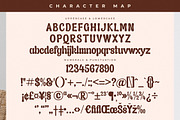 Asterah Quirkyn  Chunky Groovy Font, a Serif Font by Letterena Studios (Thumbnail 13 of 15)