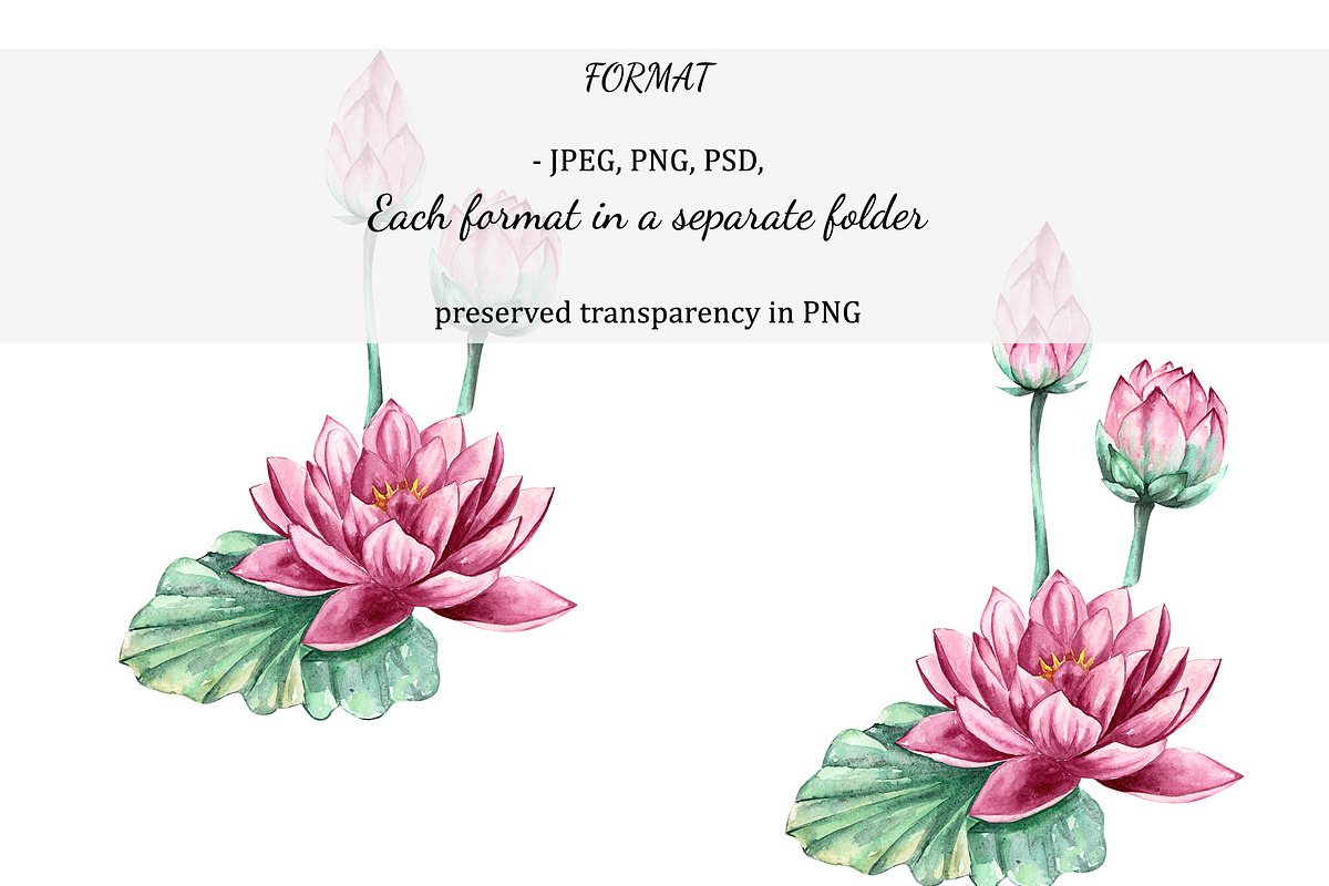 Watercolor Water Lily, an Object Graphic by YuMyart (Photo 2 of 5)