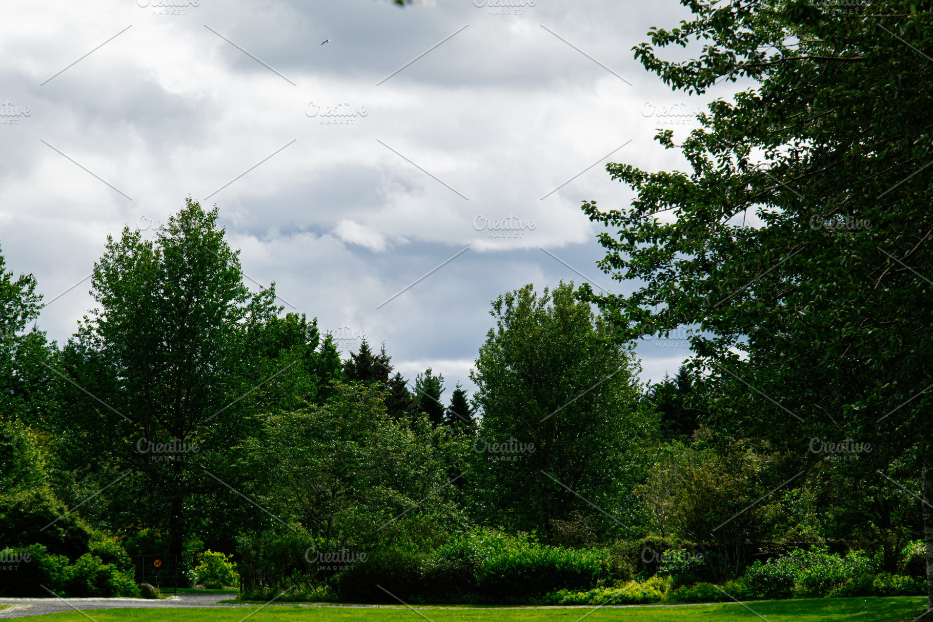 Scenic view of lush greenery under a cloudy sky in Reykjavik, Iceland, a Photo by AS photostudio