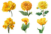 Watercolor Flower Clipart, an Illustration by Daily.Designs (Thumbnail 2 of 5)
