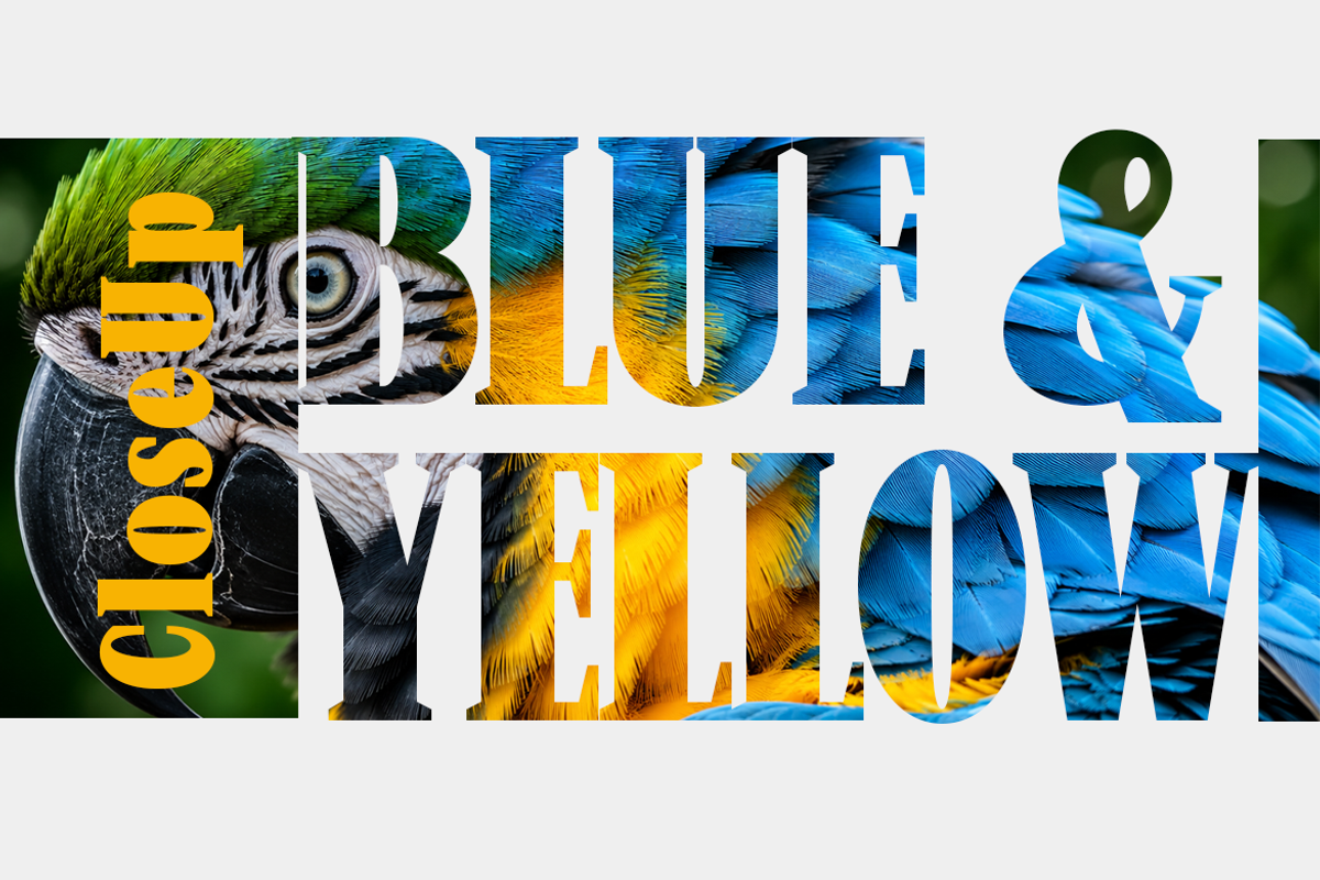 New Bight-Serif Font, a Serif Font by artisans (Photo 3 of 6)
