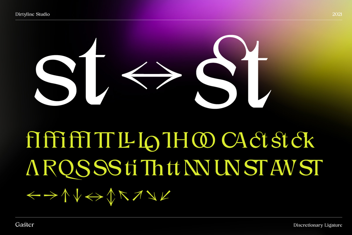 Dx Gaster + Italic, a Serif Font by Dirtyline Studio (Photo 9 of 11)